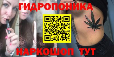 2c-b Гатчина
