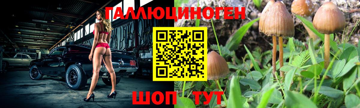 Псилоцибиновые грибы MAGIC MUSHROOMS  Галлюциногенные грибы мицелий  Муравленко  Вход с VPN 