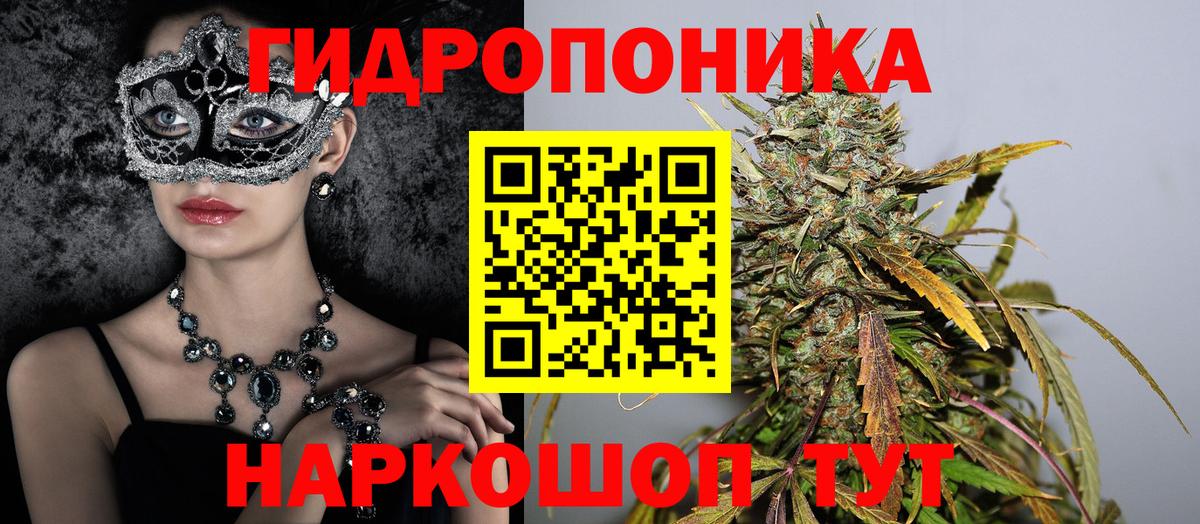 Муравленко  Конопля Ganja  Канабис Bruce Banner  Вход с VPN 